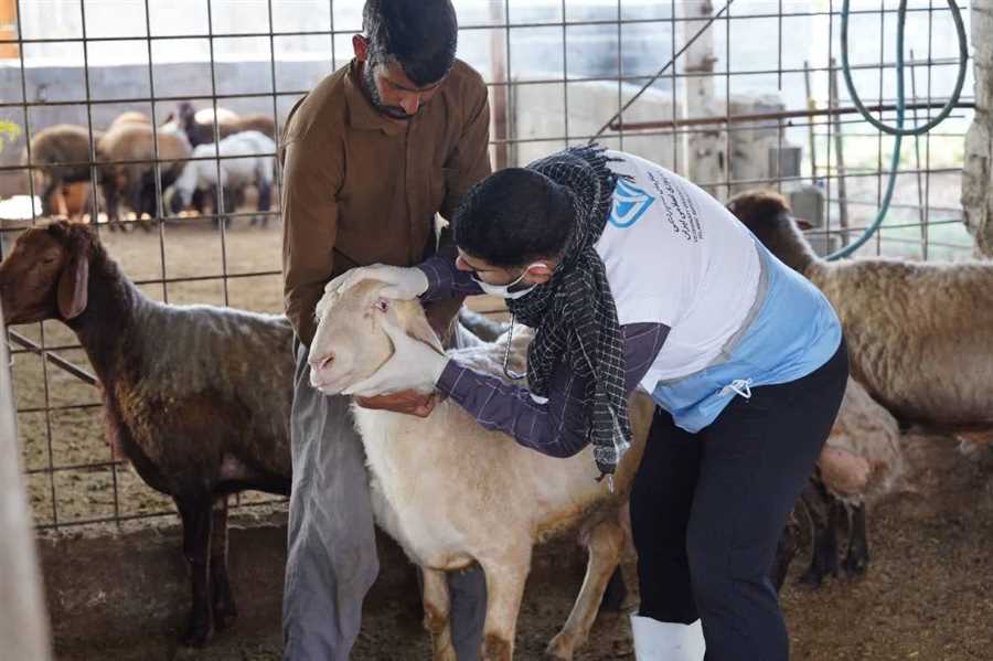 آغاز رزمایش جهادی "حافظان سلامت" در مازندران