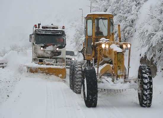 این روزها، ییلاق و کوهستان نروید