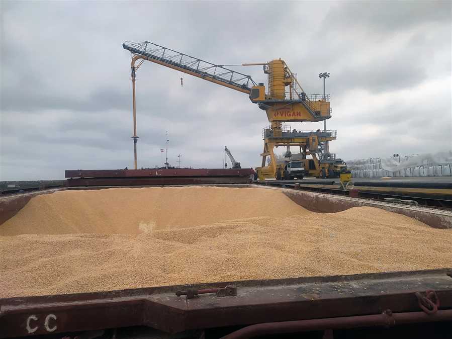 ترخیص نهاده‌های دامی از سه بندر اصلی مازندران